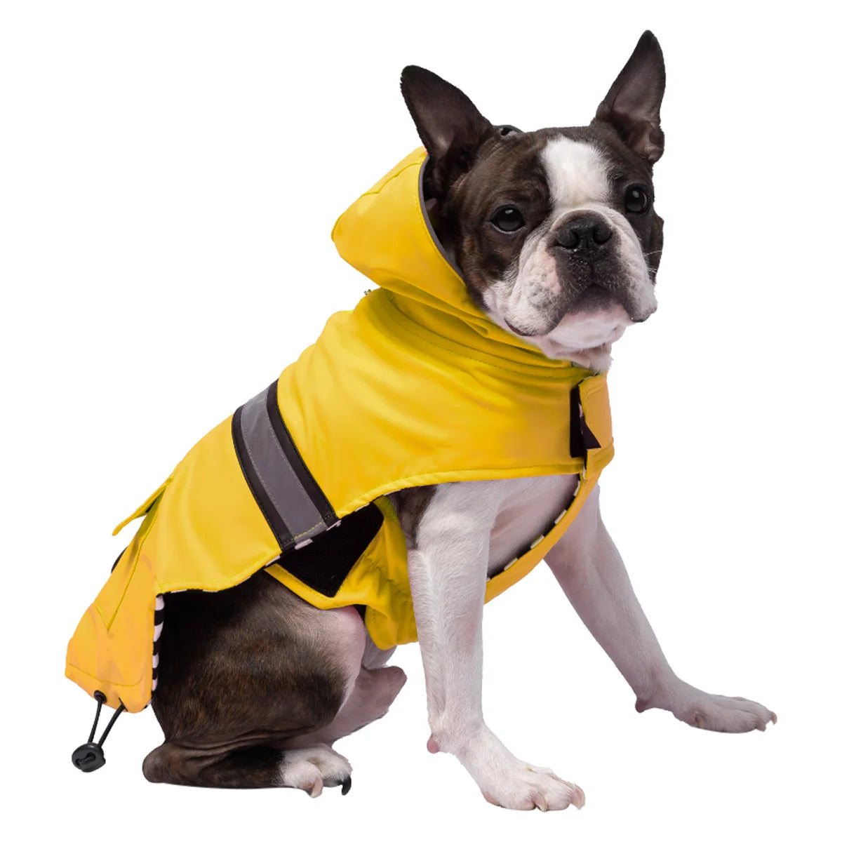 South Paw Rain jacket for dogs