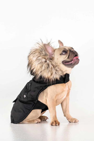 Karter - Manteau pour chien