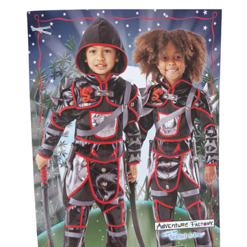 Disney - Costume Samuria