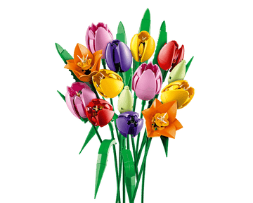The bouquet of tulips