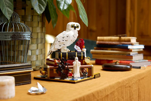 L’école des sorciers – Édition de collection