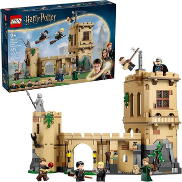 LEGO Harry Potter Hogwarts Castle: Flying Lessons - 76447