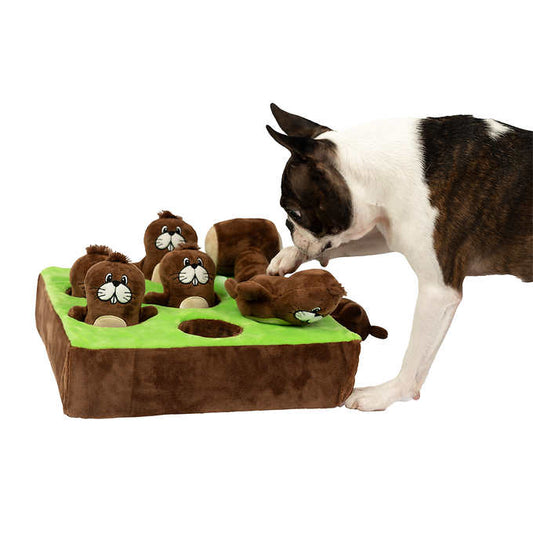 Bark a mole - Interactive dog game set