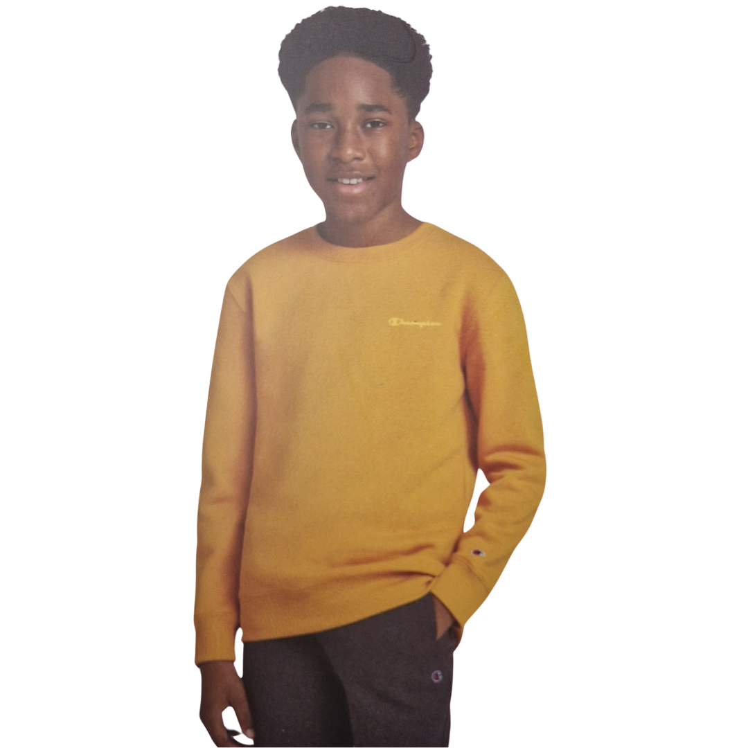Champion Boys Sweatshirt, Kids Sweatshirt, Fleece Crew Neck