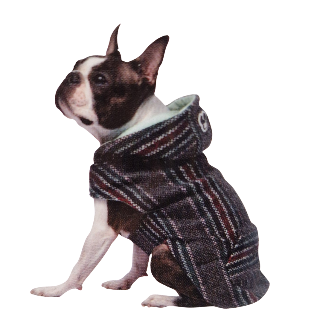 South Paw - Poncho for dogs