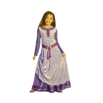 Disney - Princess Asha costume